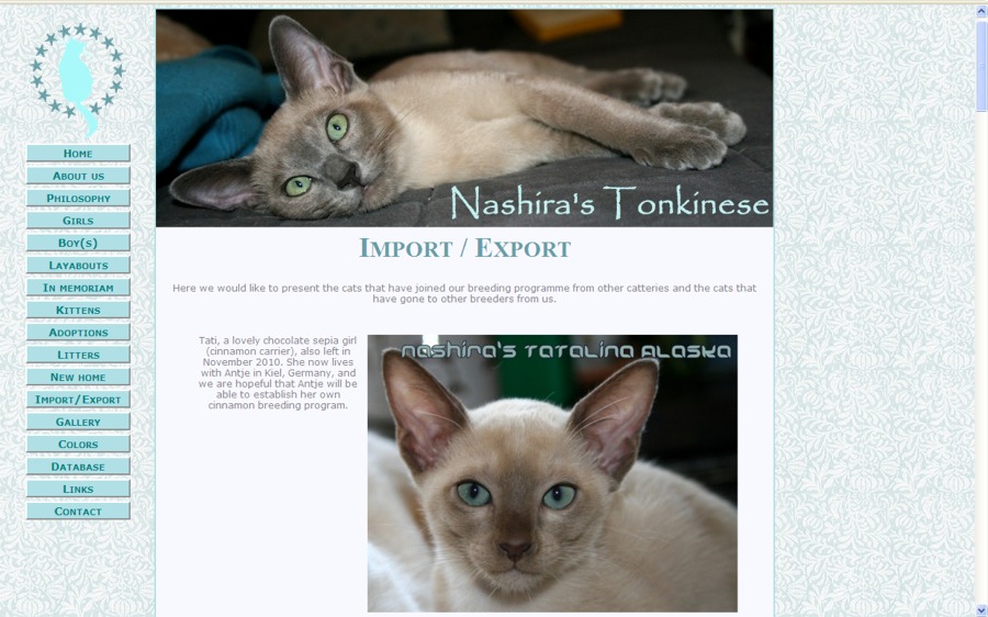 Nashira’s Tonkinese