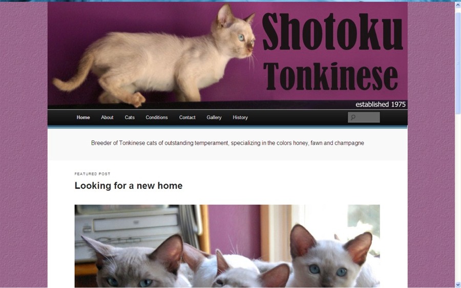 Shotoku (WordPress)